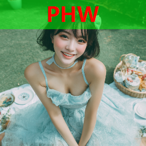 某大型汽车制造企业案例